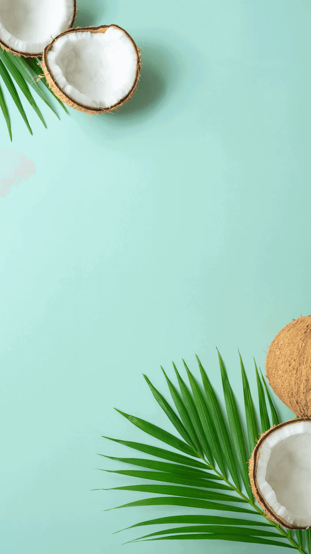 farah selimi onlyfans (propinoff) | Mezink