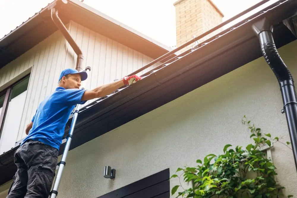https://eliteservicesofmontgomery.com/services/gutter-cleaning-service/