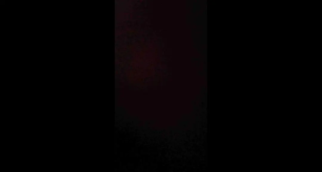 15) ALICIA SHORT PANTS