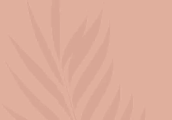 lyn.pulihkan.data Forms