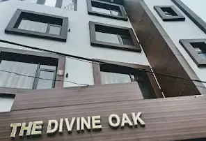The Divine Oak