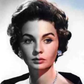 Colorize Images pro