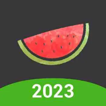 Melon VPN Pro