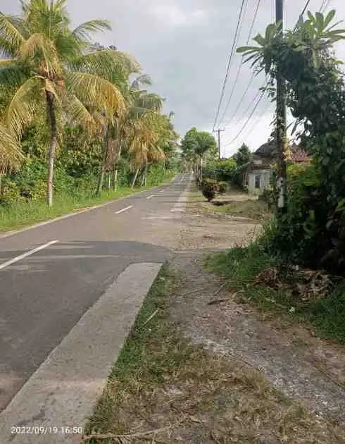 TANAH KEBUN COCOK PERUMAHAN DI NEGARA ,BALI.
