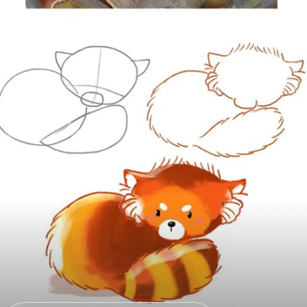 Red Panda