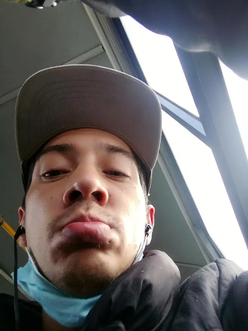 Mamo