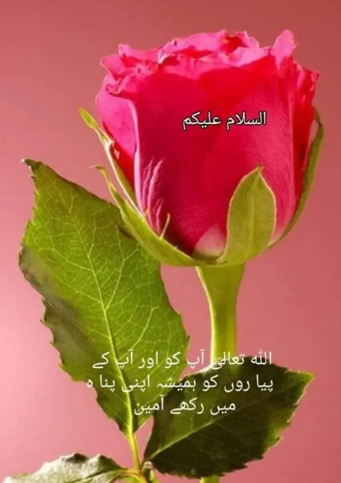 trust and love......