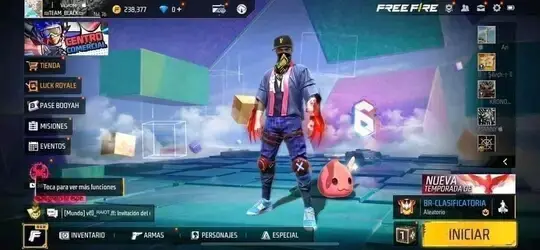 cortinahernandezjolman