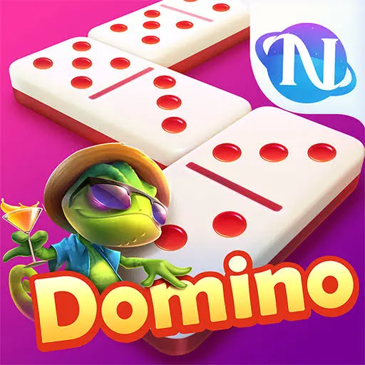 COSTUMER SERVICE HIGGS DOMINO