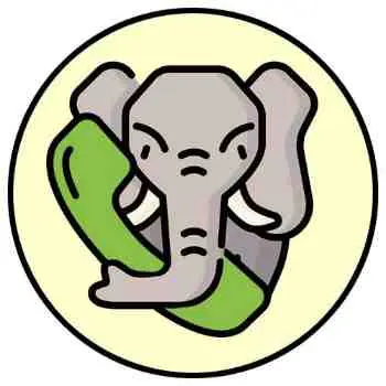 icon