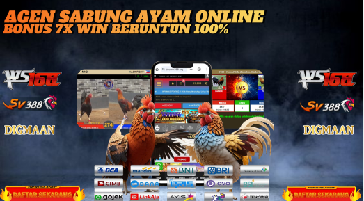 SABUNG AYAM WALMERON