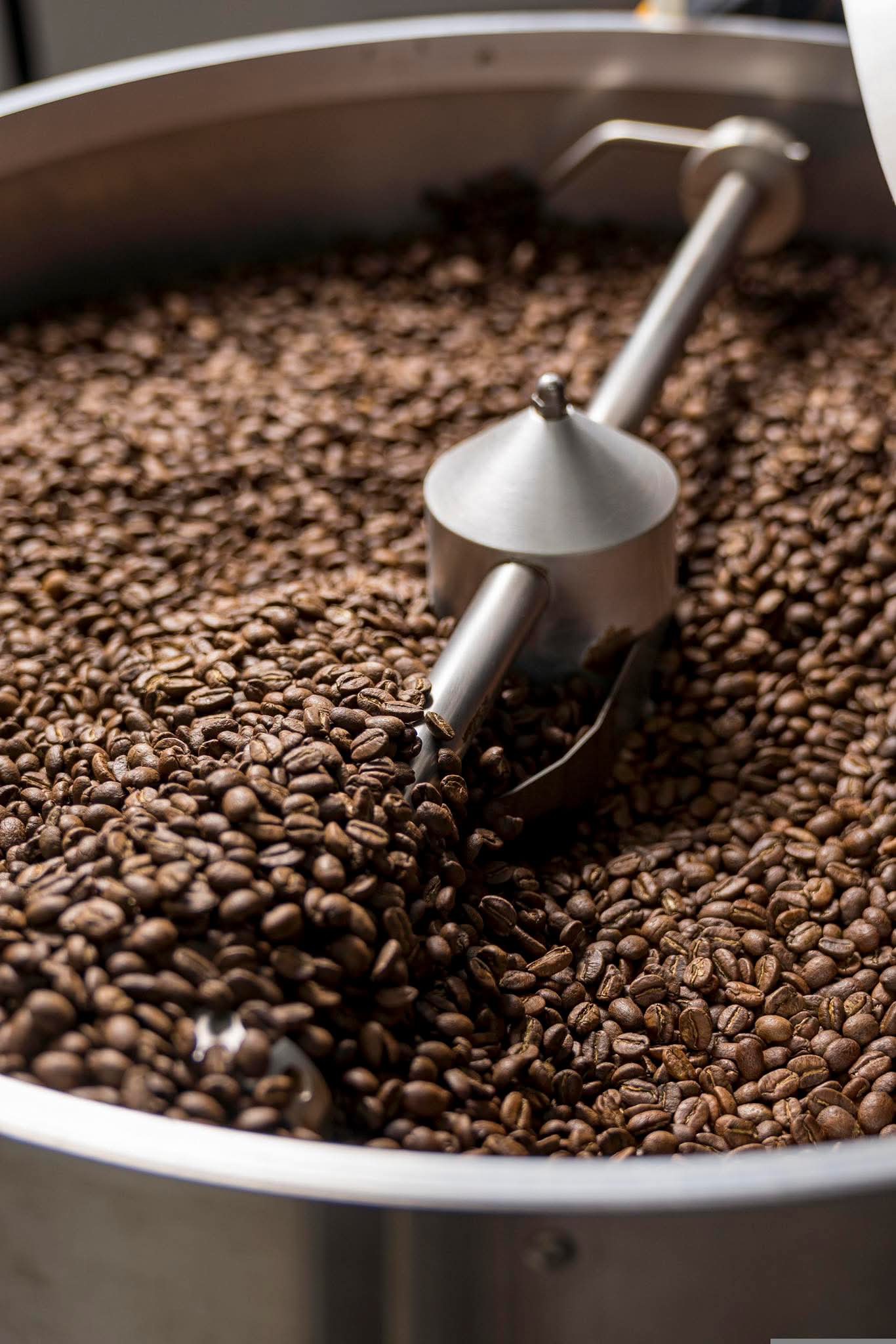 Proses Roasting