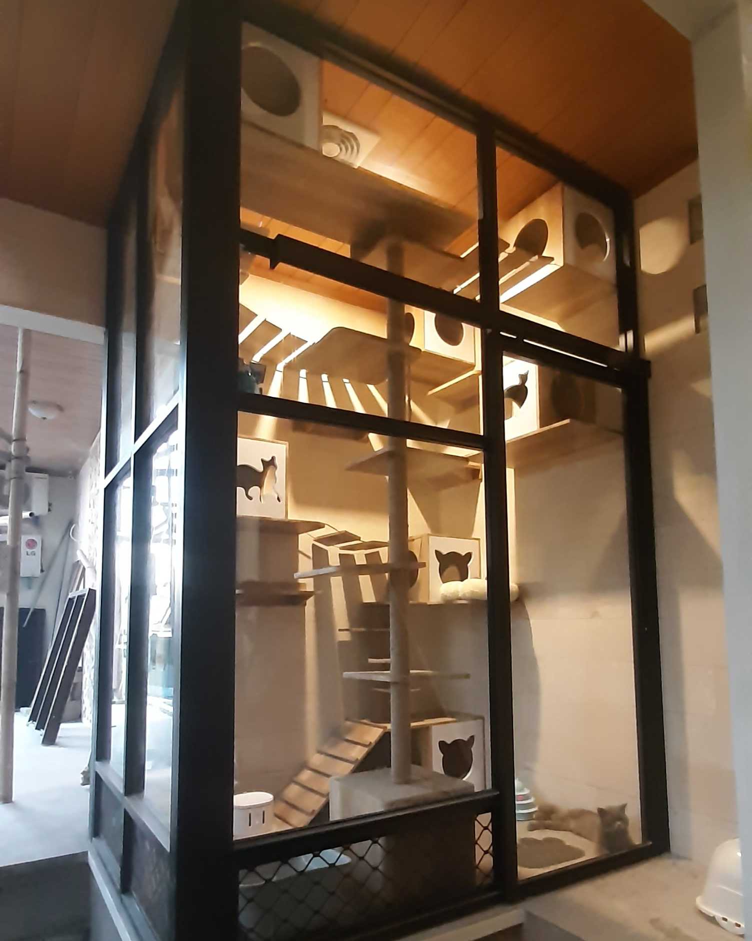 Daily Serum Concentrate 