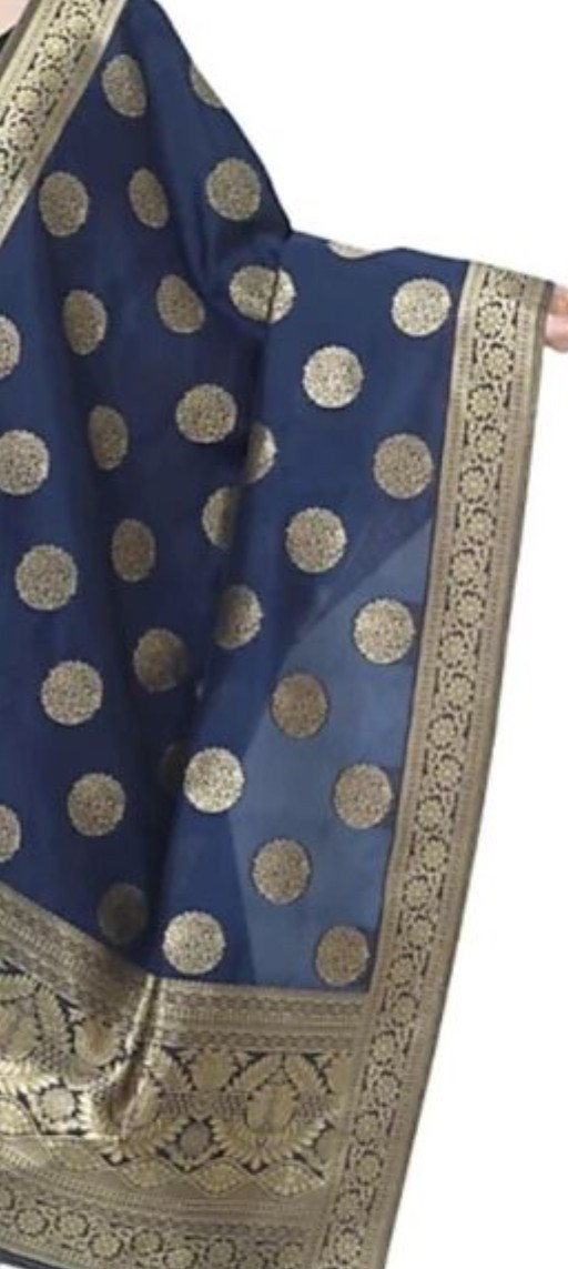 Blue banarasi 