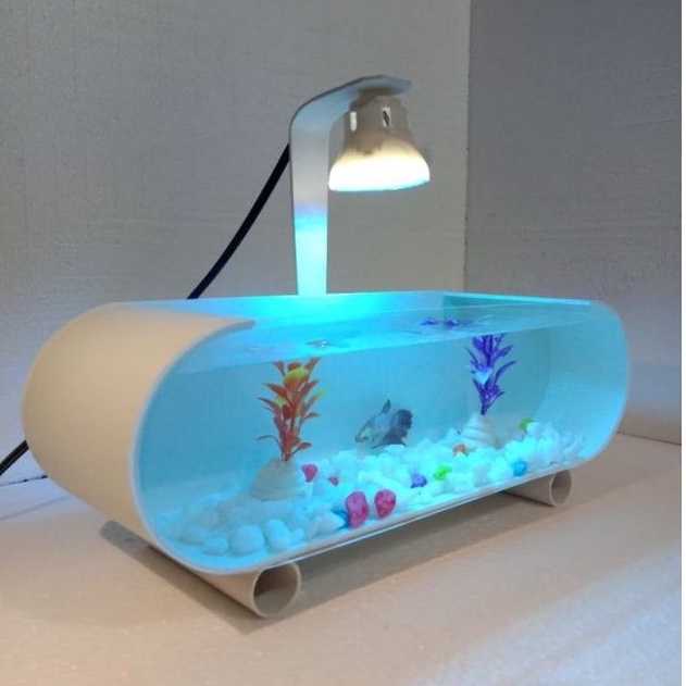 aquarium mini