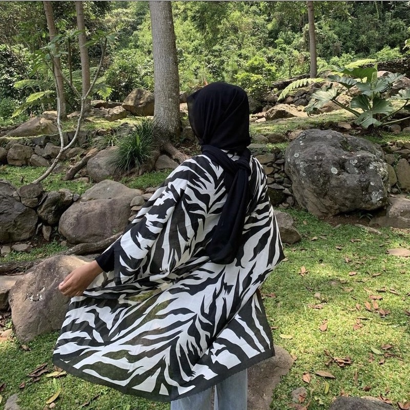 442. Outer Zebra