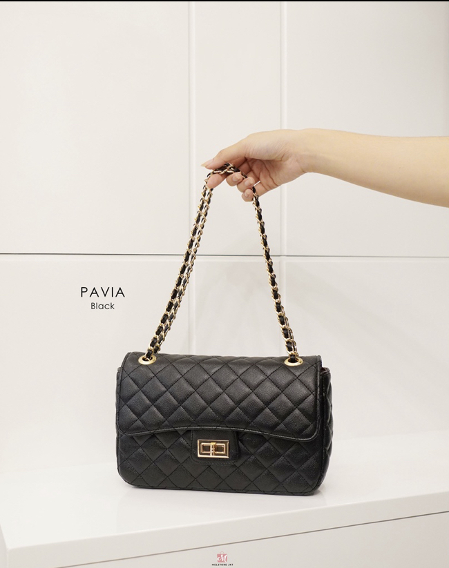 269. PAVIA BAG