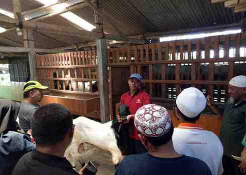 On Farm Training