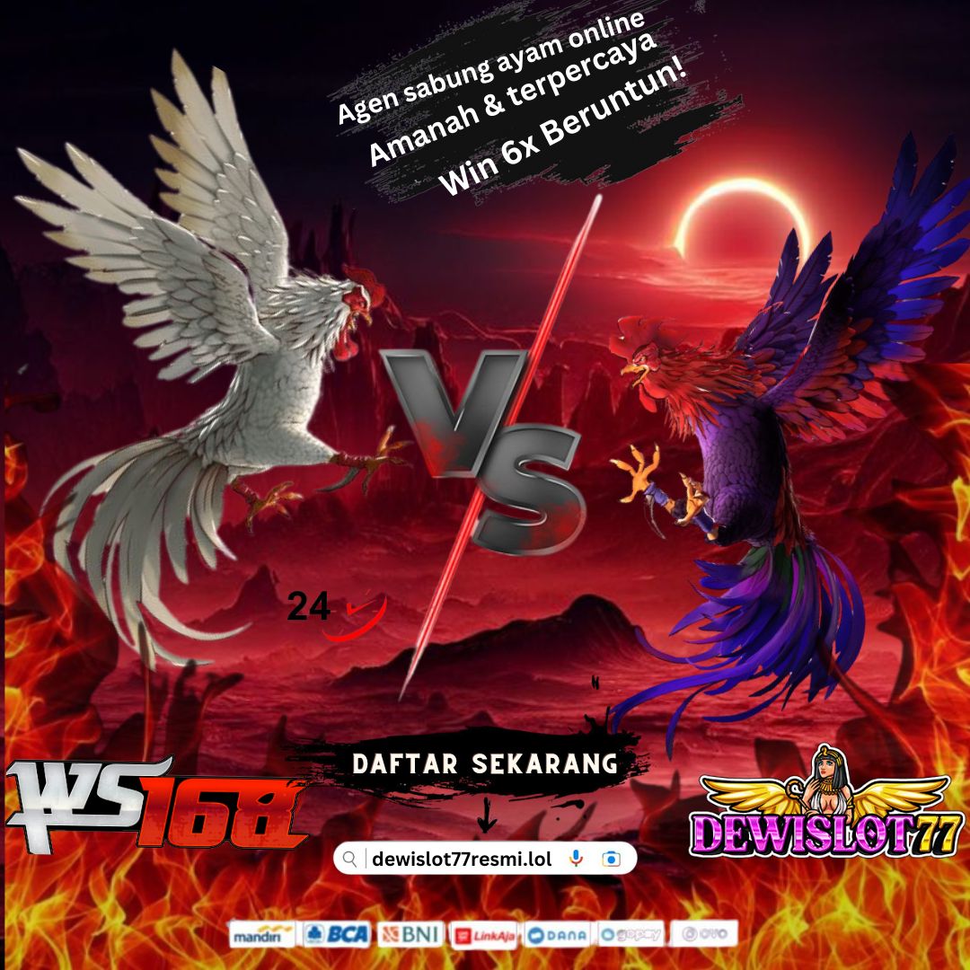 sabung ayam