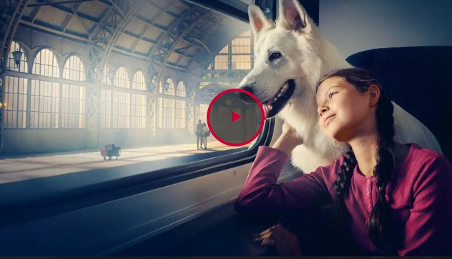 [HD-VIDER] O psie, który jeździł koleją (2023) Cały Film po Polsku za Darmo