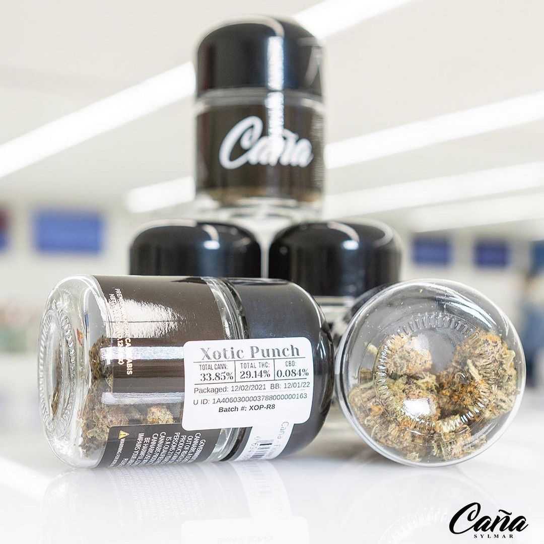 xotic punch 