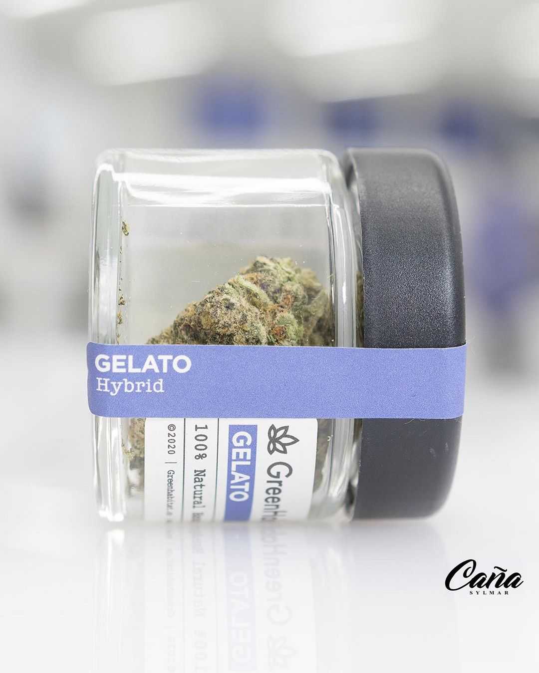 gelato 