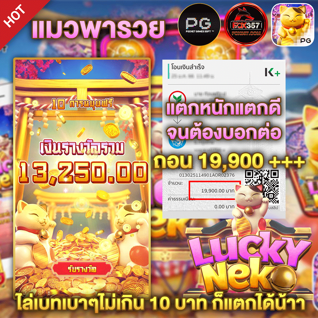 ทีเด็ดแมวพารวย