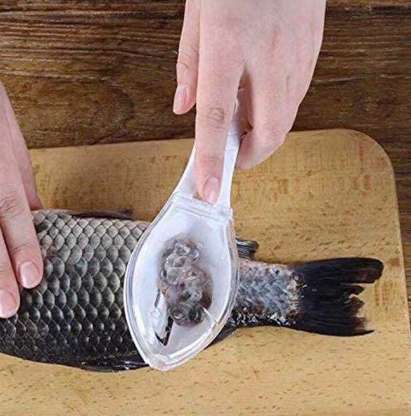 66. Pisau Kulit Ikan