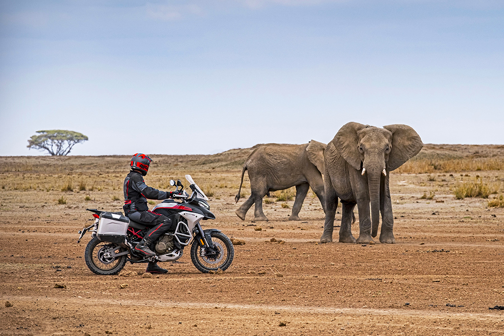 Multistrada V4 Rally: Production Of The Grand Tourer Gets Underway