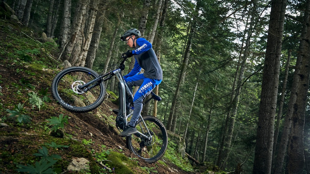 Celebrating 30 years of Yamaha eBikes