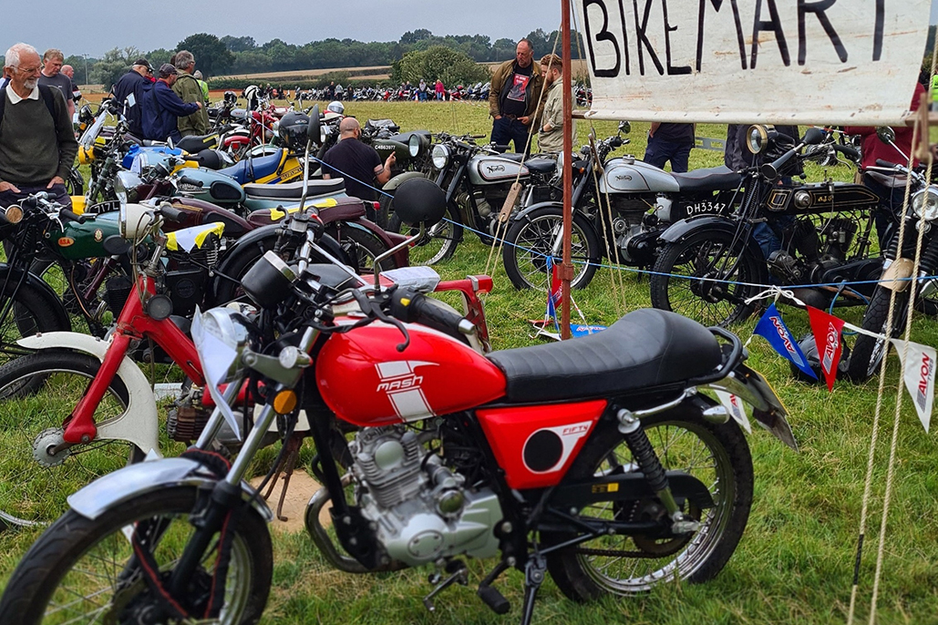 September Romney Marsh Ride-in Show