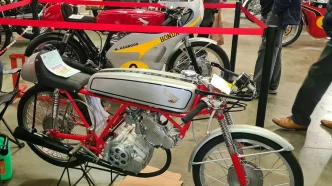 Lightweight Racing Theme At Ardingly Summer Show 34 Lightweight Racing Theme At Ardingly Summer Show