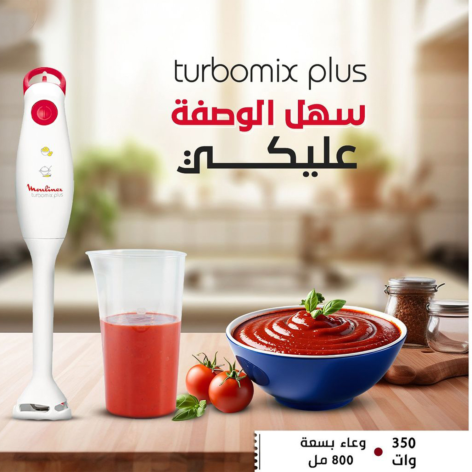 خلاط يدوي مولينكس تربومكس بلس، 350 واط، دورق 800 مل - DD1001EG
