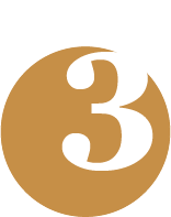 GloboStyle - imagen 3