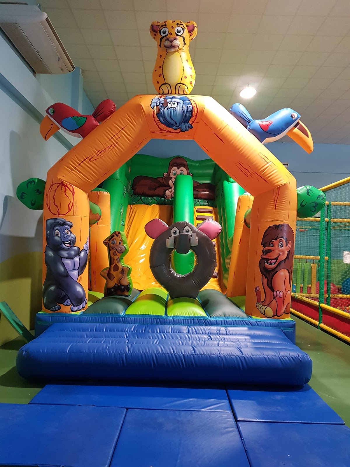 Diverjungla - imagen 2