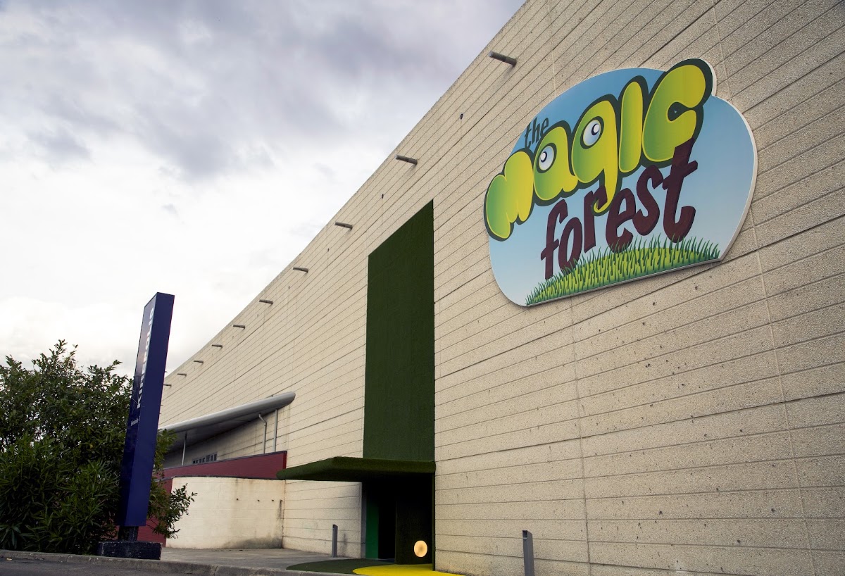 The Magic Forest - imagen 3