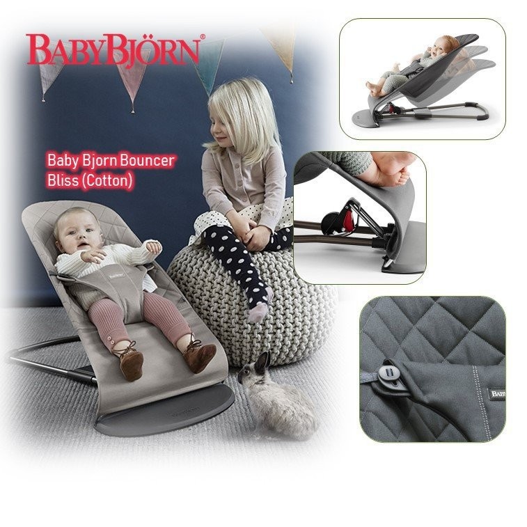 is baby bjorn bouncer worth it