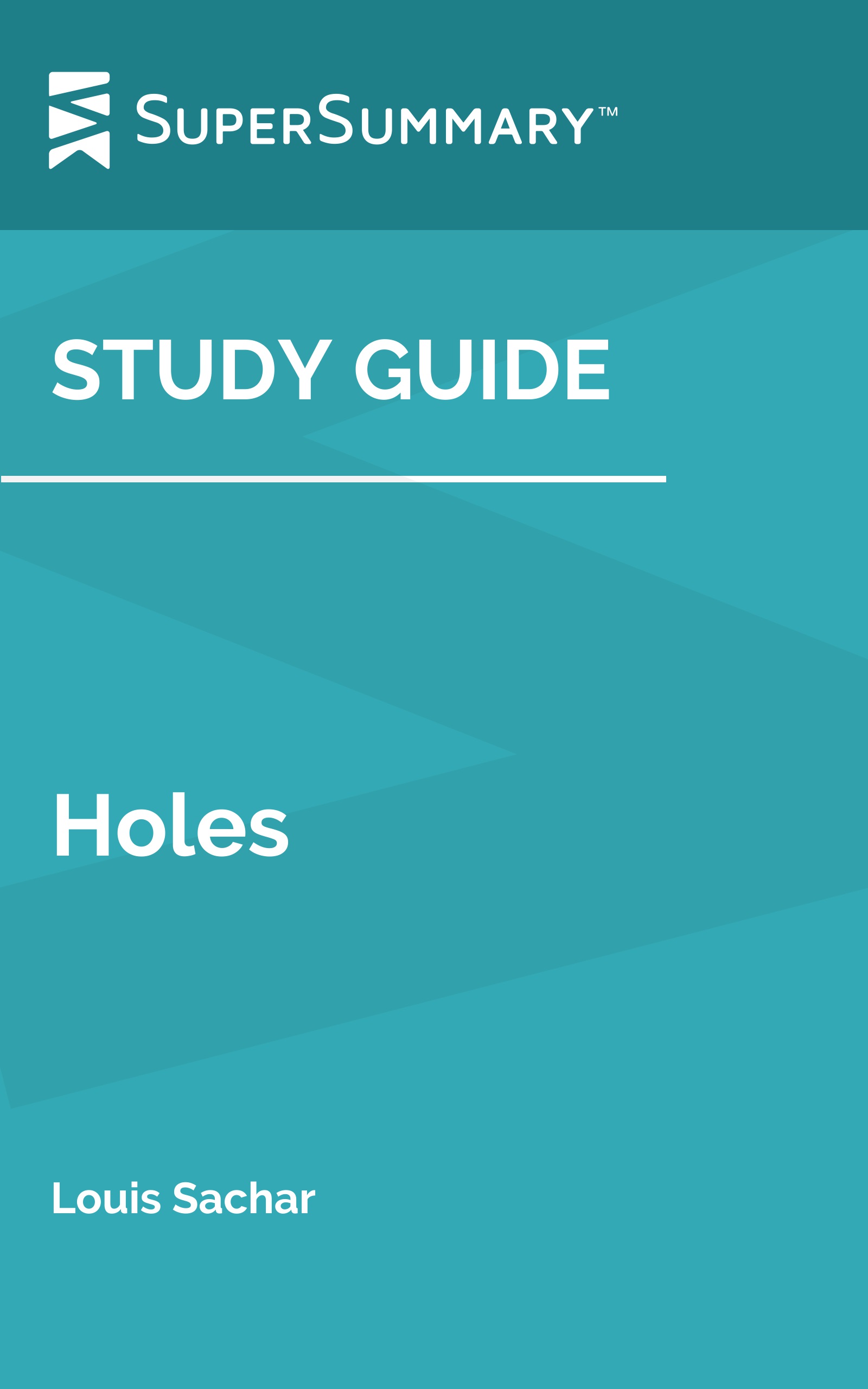 Holes Chapter Summaries - Plot Summary Cards for Louis Sachar's