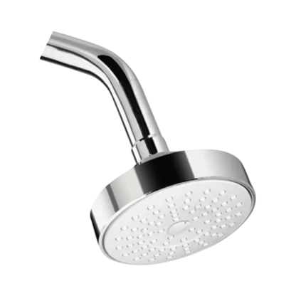 Parryware Single Flow Shower With Arm (T9808A1)