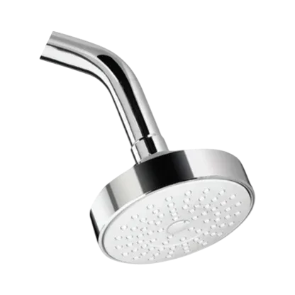 Parryware Single Flow Shower With Arm (T9808A1)