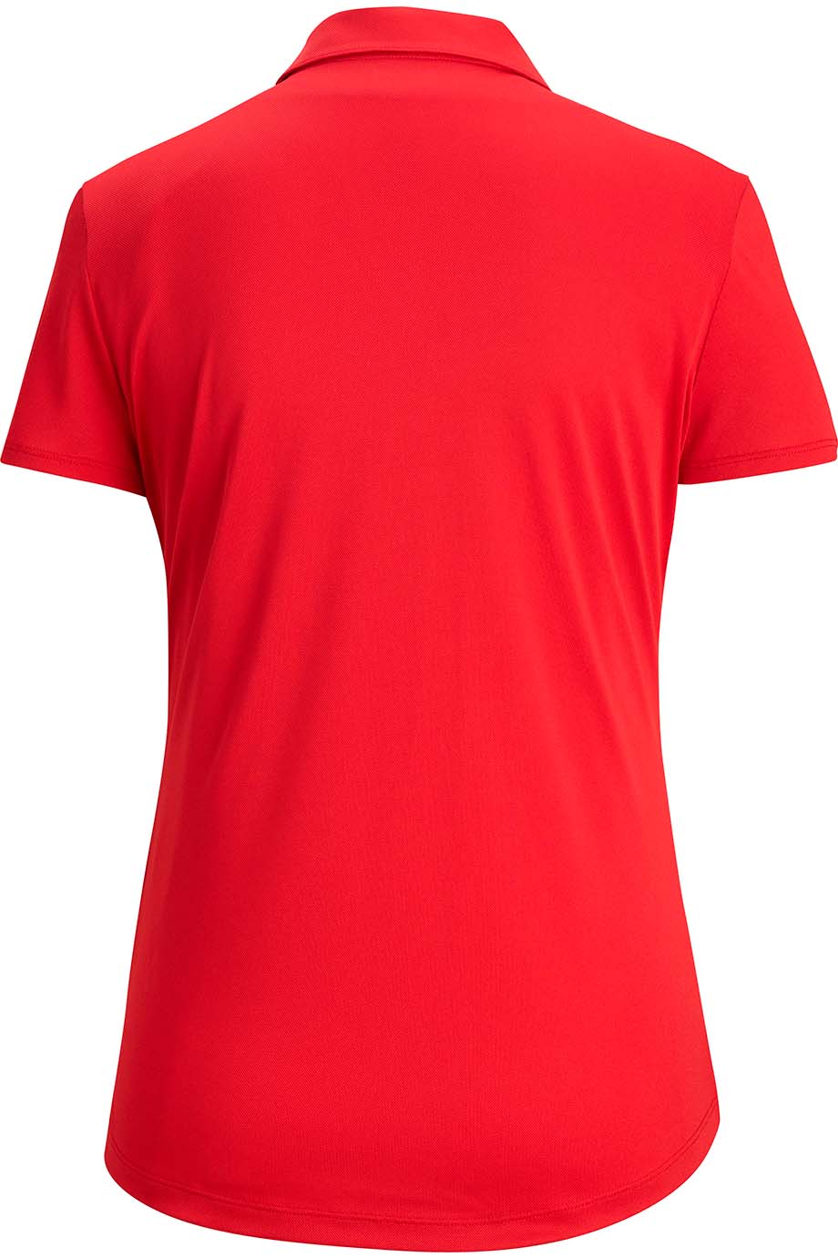 EDWARDS MINI PIQUE LADIES POLO - Back View