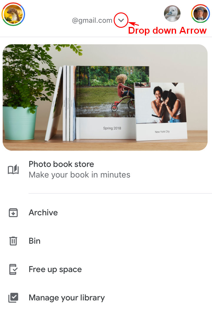 GOOGLE PHOTOS HELP EMAIL visual data 4