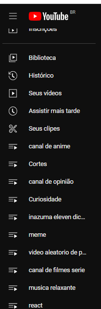 Minha playlist de vídeos que eu Gostei está privada sem eu ter