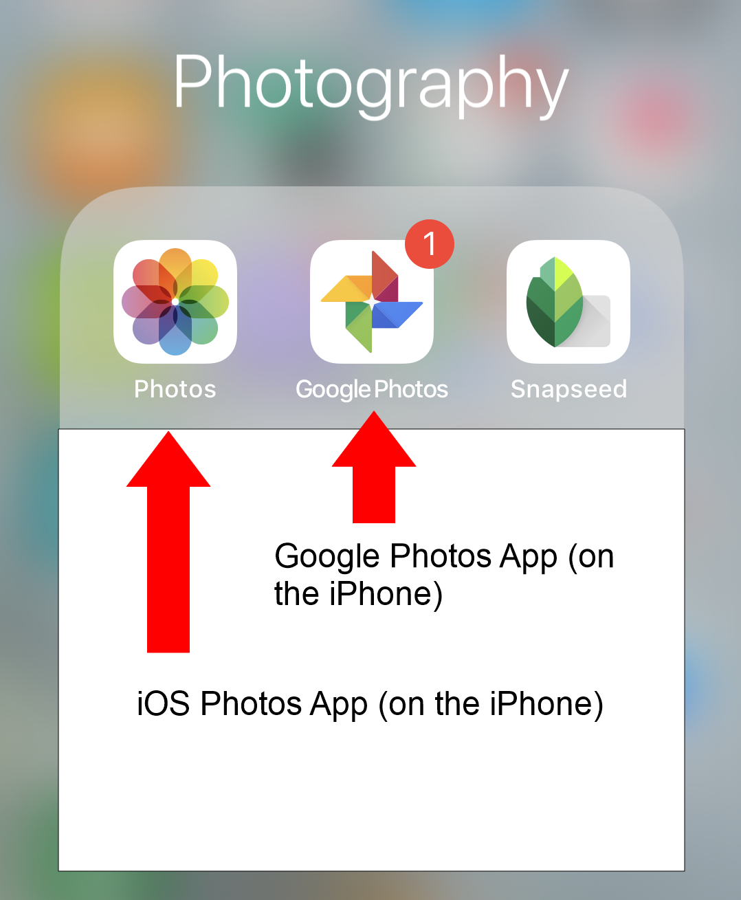 Can I see Google Photos on iPhone?