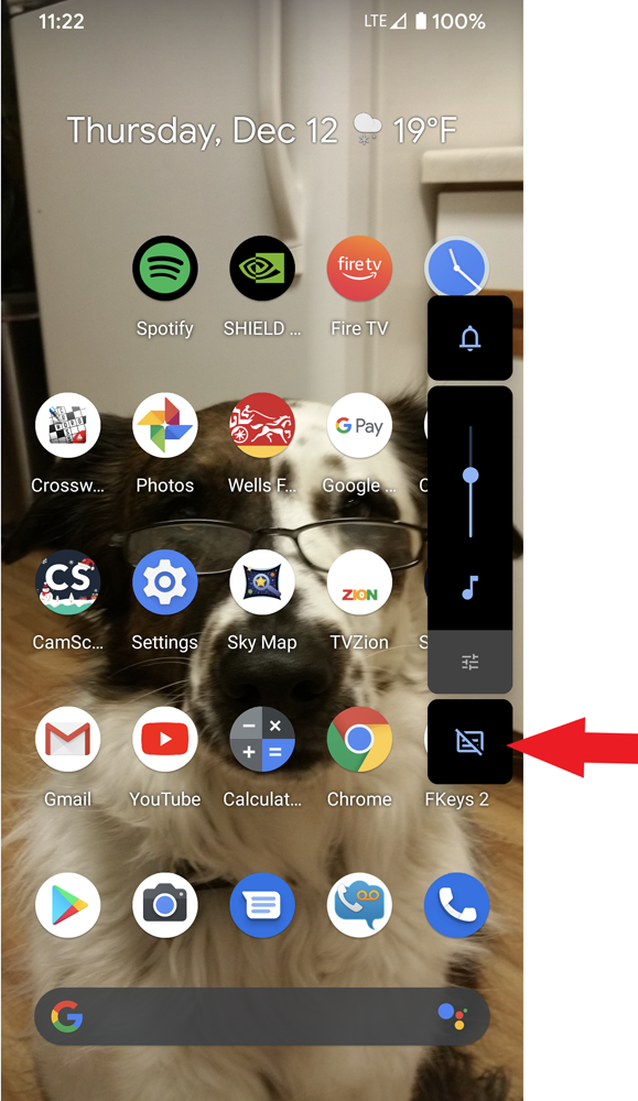 what-is-the-bottom-option-when-hitting-volume-button-google-pixel