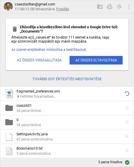 google backup and sync exclude folder