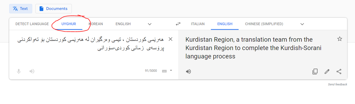 These volunteers taught Google Translate to read Sorani Kurdish - Rest of  World