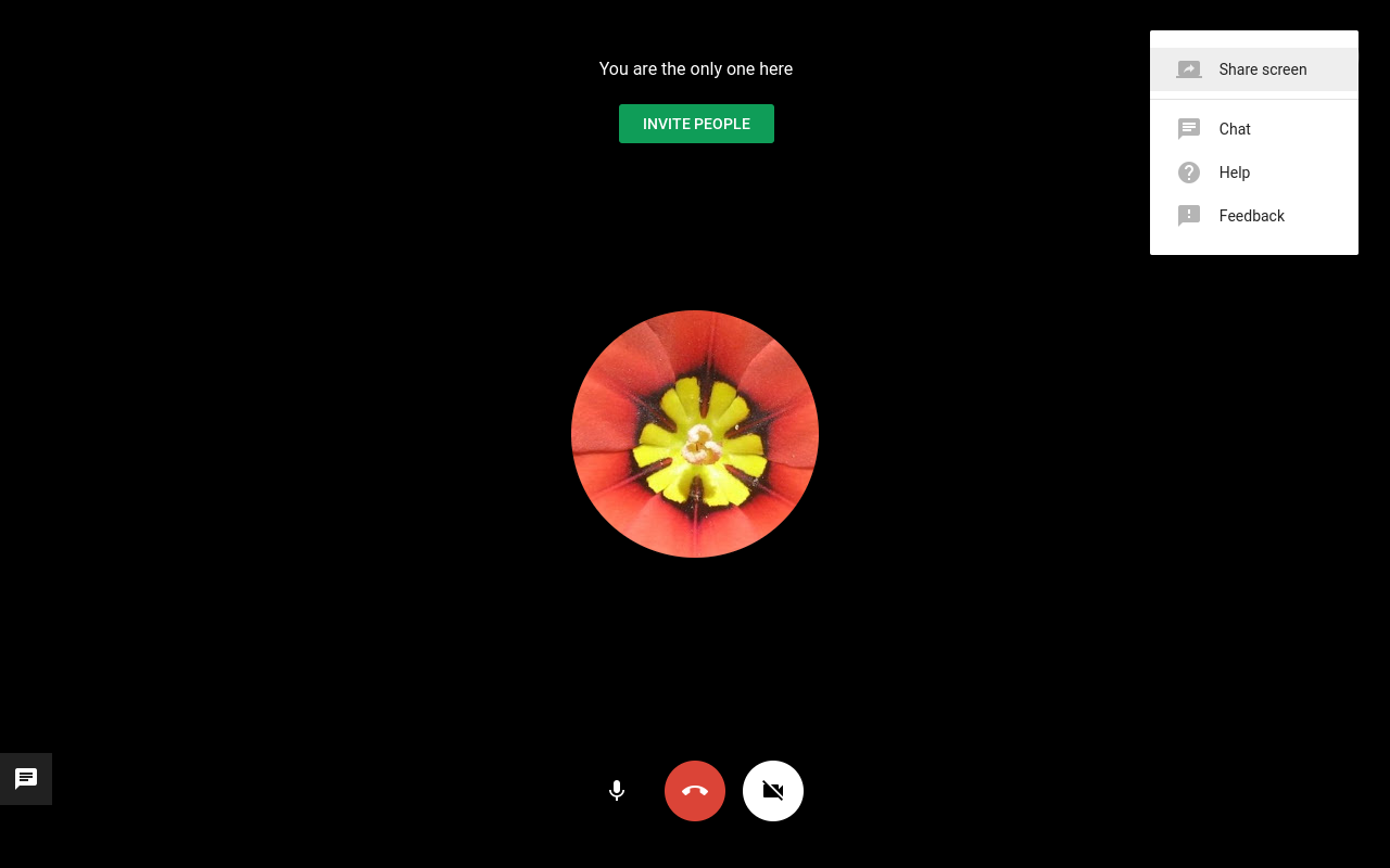 google hangouts screen sharing ipad