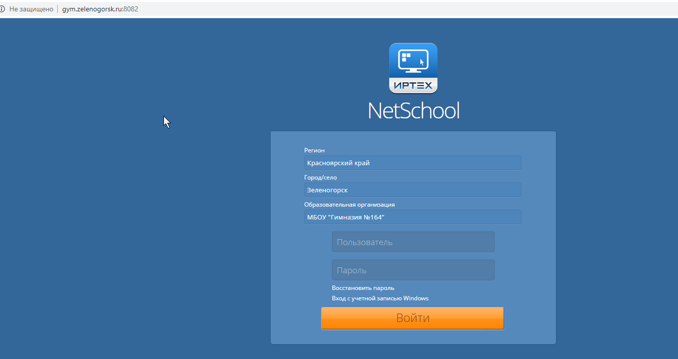 Электронный дневник пышма. Netschool. Нетскул. Система «netschool». Netschool сетевой город.