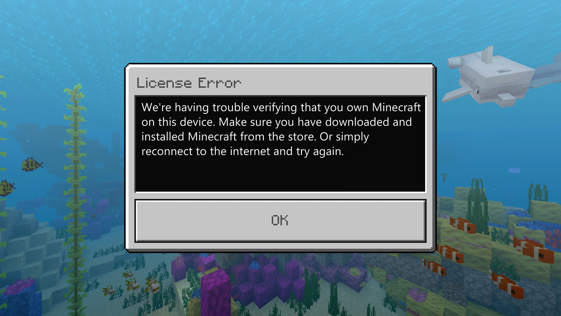 Minecraft Confirmation